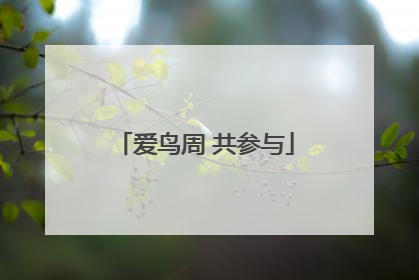 爱鸟周 共参与