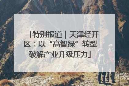 特别报道｜天津经开区：以“高智绿”转型破解产业升级压力
