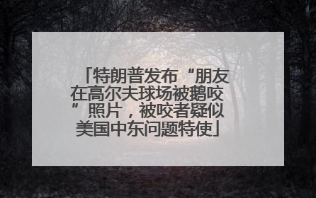 特朗普发布“朋友在高尔夫球场被鹅咬”照片，被咬者疑似美国中东问题特使