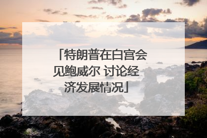 特朗普在白宫会见鲍威尔 讨论经济发展情况