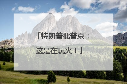 特朗普批普京：这是在玩火！
