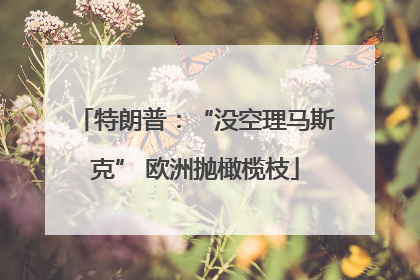 特朗普：“没空理马斯克” 欧洲抛橄榄枝