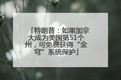 特朗普：如果加拿大成为美国第51个州，可免费获得“金穹”系统保护