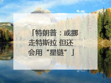 特朗普：或挪走特斯拉 但还会用“星链”
