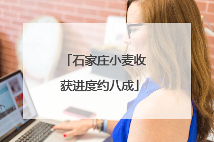 石家庄小麦收获进度约八成