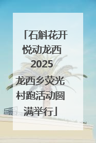 石斛花开 悦动龙西 2025龙西乡荧光村跑活动圆满举行