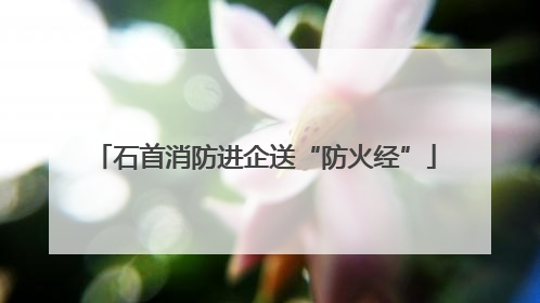 石首消防进企送“防火经”