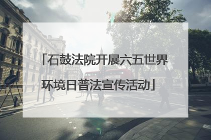 石鼓法院开展六五世界环境日普法宣传活动