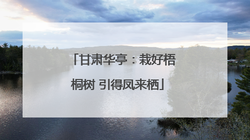 甘肃华亭：栽好梧桐树 引得凤来栖