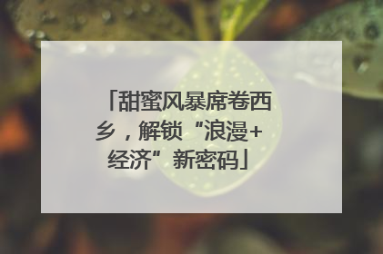 甜蜜风暴席卷西乡，解锁“浪漫+经济”新密码