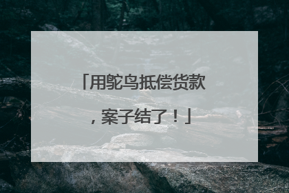 用鸵鸟抵偿货款，案子结了！