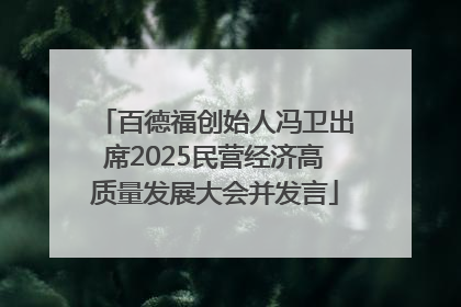 百德福创始人冯卫出席2025民营经济高质量发展大会并发言