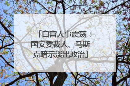 白宫人事震荡：国安委裁人、马斯克暗示淡出政治