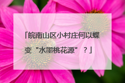 皖南山区小村庄何以蝶变“水墨桃花源”？