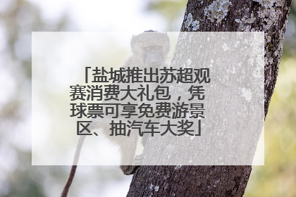 盐城推出苏超观赛消费大礼包，凭球票可享免费游景区、抽汽车大奖