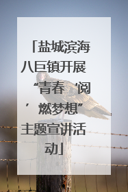 盐城滨海八巨镇开展“青春‘阅’燃梦想”主题宣讲活动