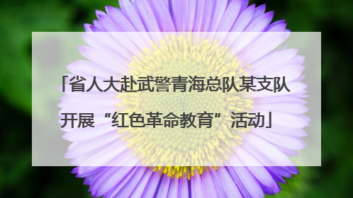 省人大赴武警青海总队某支队开展“红色革命教育”活动