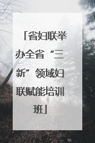 省妇联举办全省“三新”领域妇联赋能培训班