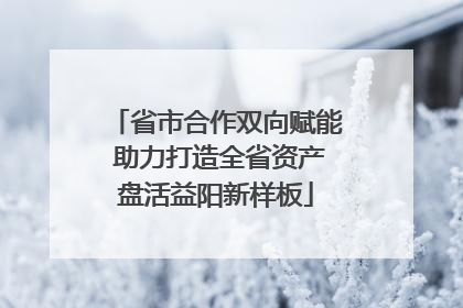 省市合作双向赋能 助力打造全省资产盘活益阳新样板