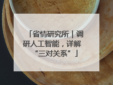 省情研究所｜调研人工智能，详解“三对关系”