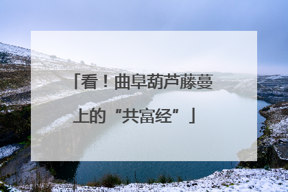看！曲阜葫芦藤蔓上的“共富经”
