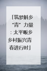 筑梦斛乡“青”力量：太平畈乡乡村振兴青春进行时