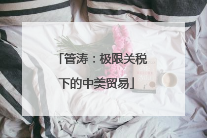 管涛：极限关税下的中美贸易