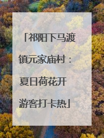 祁阳下马渡镇元家庙村：夏日荷花开 游客打卡热
