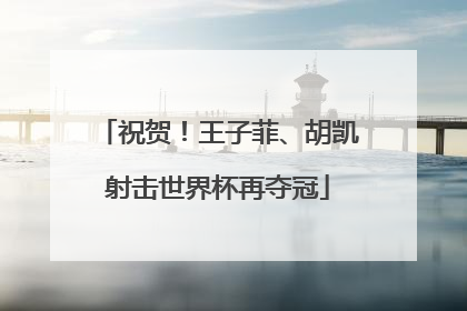 祝贺！王子菲、胡凯射击世界杯再夺冠