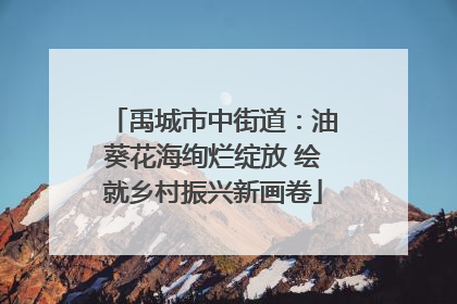 禹城市中街道：油葵花海绚烂绽放 绘就乡村振兴新画卷