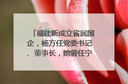 福建新成立省属国企，杨方任党委书记、董事长，她曾任宁德市委副书记｜张田怡已任县委副书记、县政府党组书记