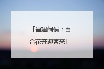 福建闽侯：百合花开迎客来