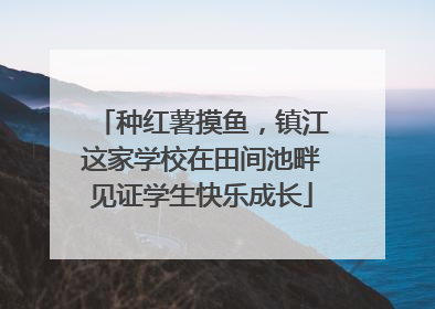 种红薯摸鱼，镇江这家学校在田间池畔见证学生快乐成长