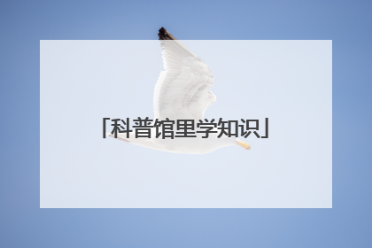 科普馆里学知识