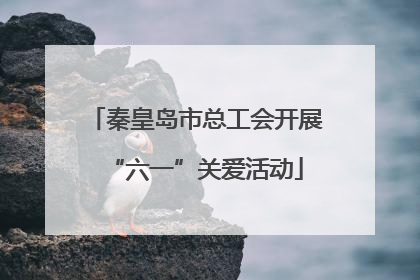 秦皇岛市总工会开展“六一”关爱活动