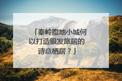 秦岭腹地小城何以打造银发旅居的诗意栖居？