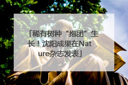 稀有树种“抱团”生长！沈阳成果在Nature杂志发表