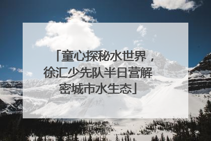 童心探秘水世界，徐汇少先队半日营解密城市水生态
