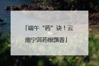 端午“药”诀！云南宁洱药根飘香