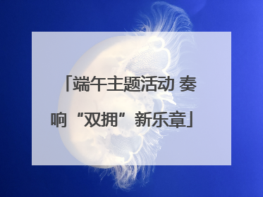端午主题活动 奏响“双拥”新乐章