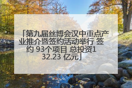 第九届丝博会汉中重点产业推介暨签约活动举行 签约 93个项目 总投资132.23 亿元