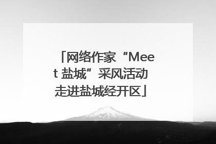 网络作家“Meet 盐城”采风活动走进盐城经开区