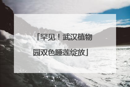 罕见！武汉植物园双色睡莲绽放