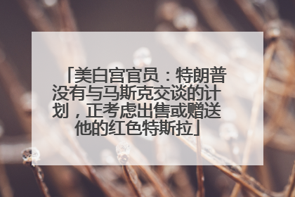 美白宫官员：特朗普没有与马斯克交谈的计划，正考虑出售或赠送他的红色特斯拉