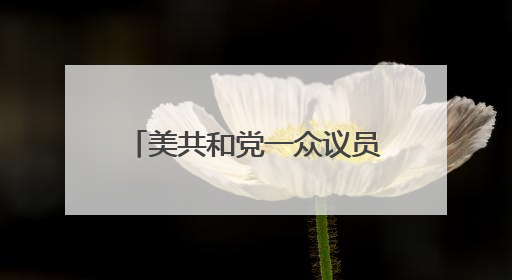 美共和党一众议员：特朗普授权打击伊朗核设施决定违宪