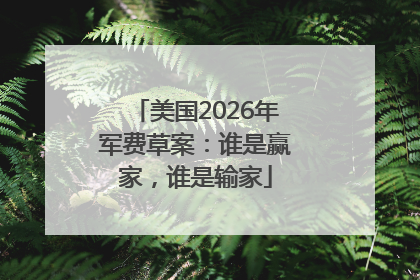美国2026年军费草案：谁是赢家，谁是输家