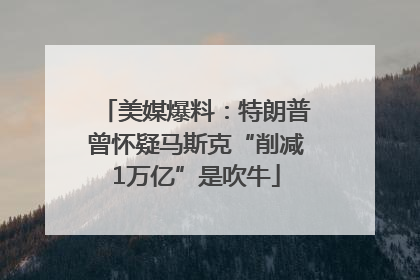 美媒爆料：特朗普曾怀疑马斯克“削减1万亿”是吹牛