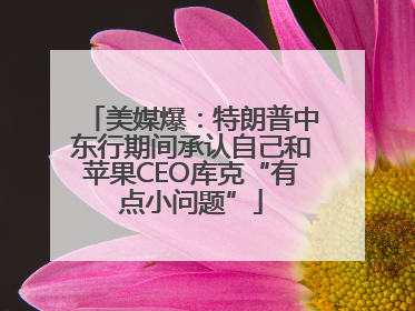 美媒爆：特朗普中东行期间承认自己和苹果CEO库克“有点小问题”