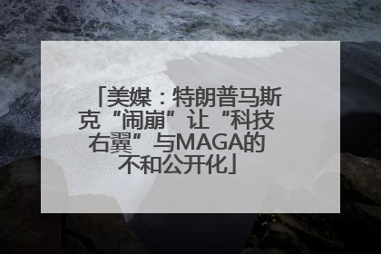 美媒：特朗普马斯克“闹崩”让“科技右翼”与MAGA的不和公开化