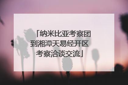 纳米比亚考察团到湘潭天易经开区考察洽谈交流